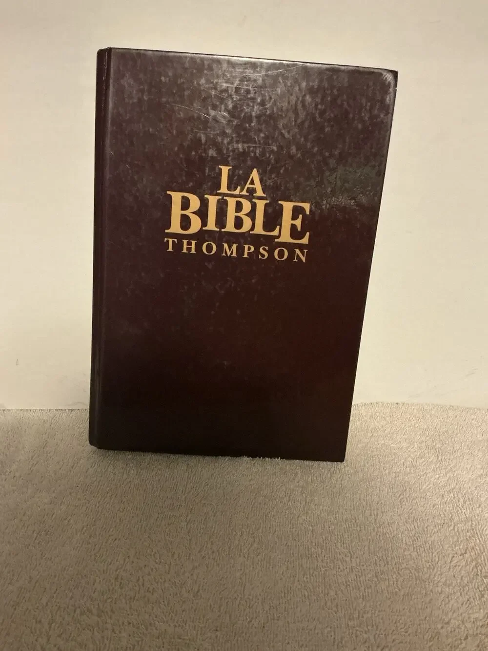 La Bible Thompson French Edition Chain Reference Study Bible Vida Second